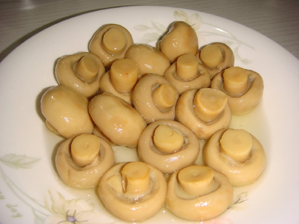 Canned Whole Mushrooms